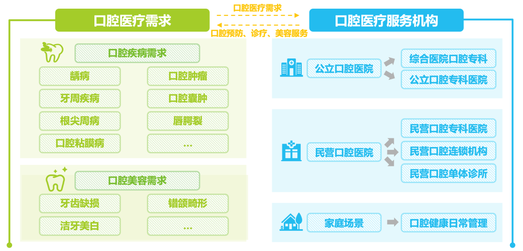 k8凯发官方app下载牙齿修复牙齿修复的定义2023年口腔医疗行业研究报告