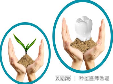 k8凯发牙齿修复收费价目表牙齿修复种植牙有效期几年科普丨风靡全球的种植牙真的可以
